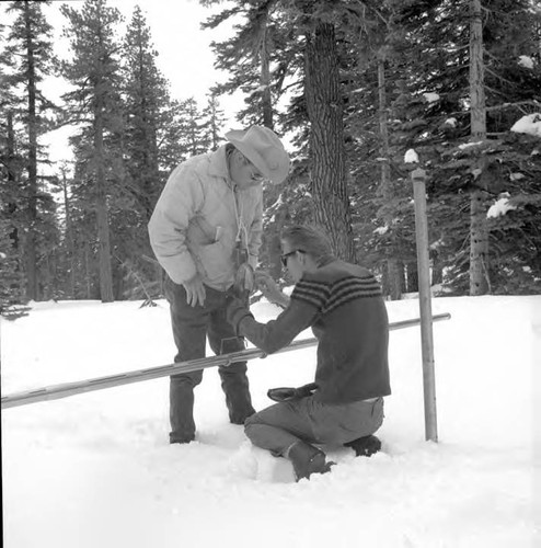 Snow Surveys