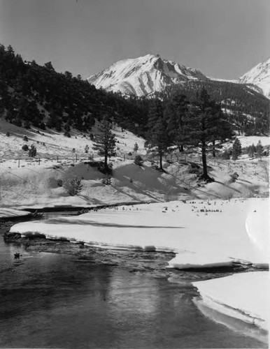 Lee Vining Creek in winter