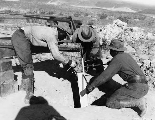 Workers from Harvard camp