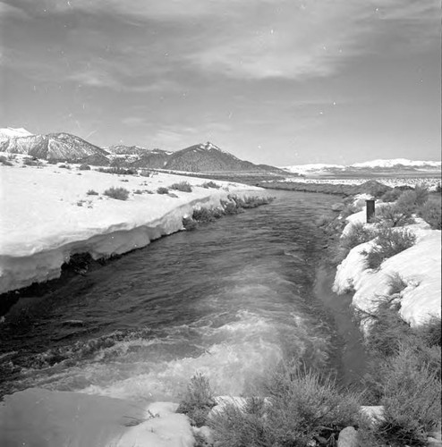 Summer Scenics - Owens Valley