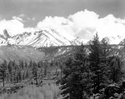 Owens Valley Scenic's