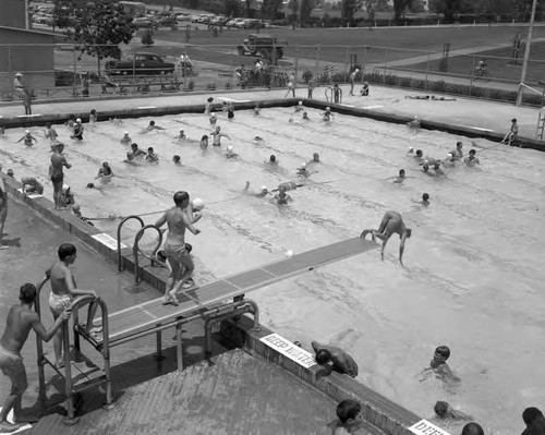 Cheviot Hills swimming pool