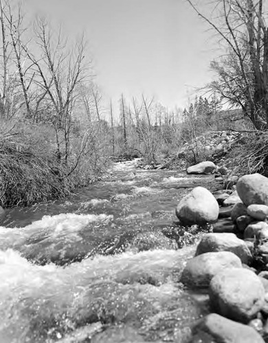 Owens Valley Scenics