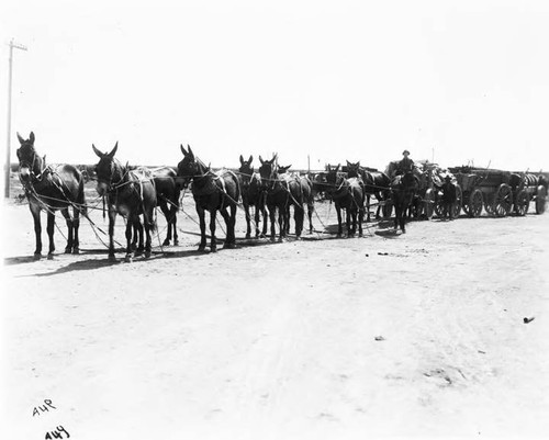 Methods of Transporting Materials and Men During Construction on Aqueduct