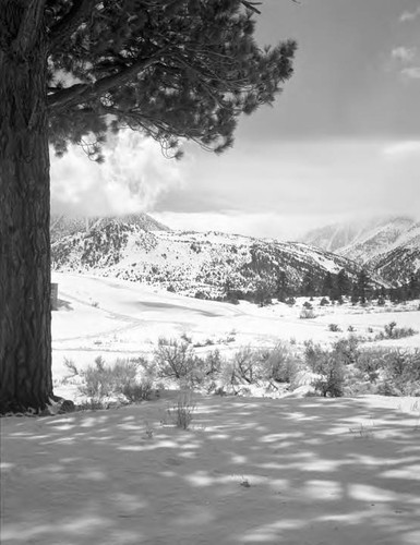 Owens Valley - Scenic Views