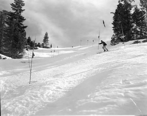 Snow Surveys