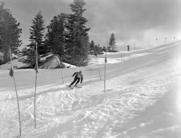 Snow Surveys