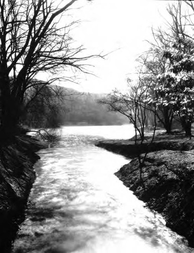 Lower Franklin Canyon Reservoir