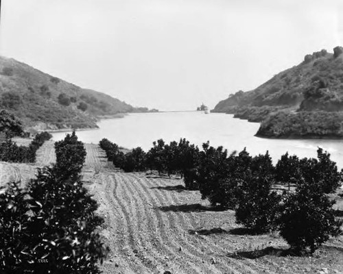 Lower Franklin Canyon Reservoir