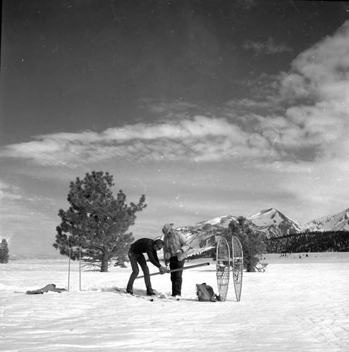 Snow Surveys