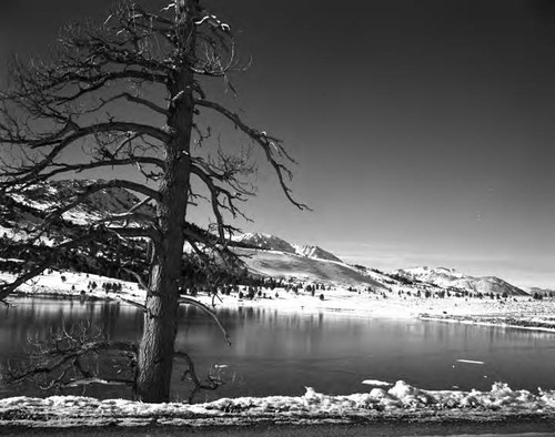 June Lake