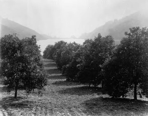 Lower Franklin Canyon Reservoir