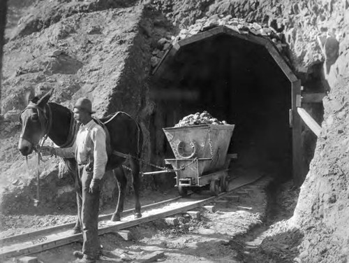 Tunnel Construction