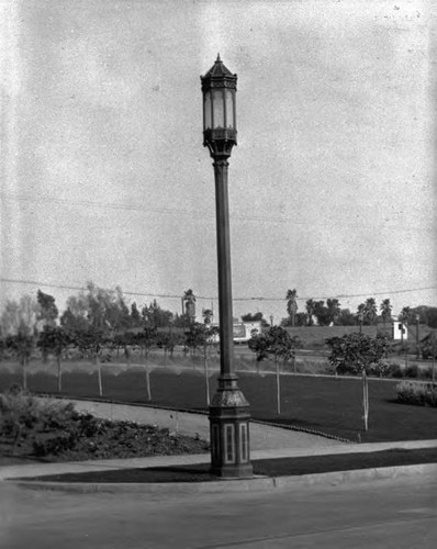 Street lights - Wilshire Blvd