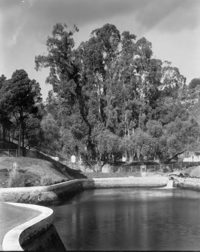 Buena Vista Reservoir