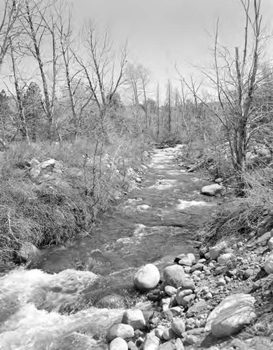 Owens Valley Scenics