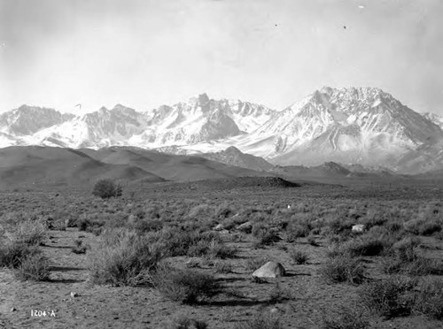 Scenic Views - Owens Valley