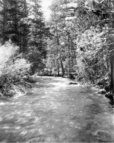 Owens Valley Scenic's