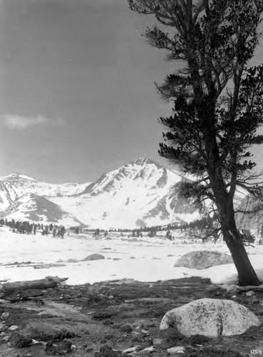 Scenic Views - Owens Valley