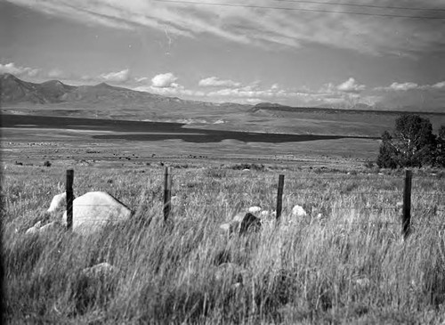 Crowley Lake