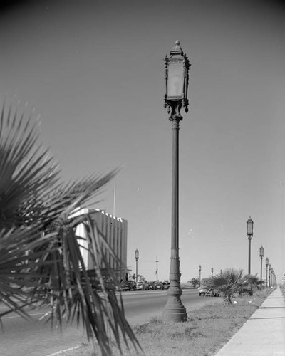 Ornamental street light on Wilshire Blvd., west of Rossmore