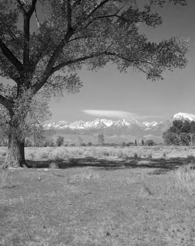 Summer Scenics - Owens Valley