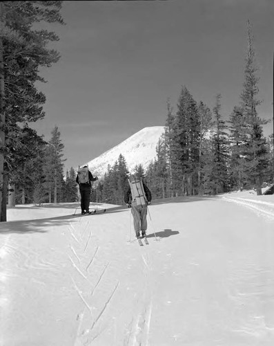 Snow Surveys