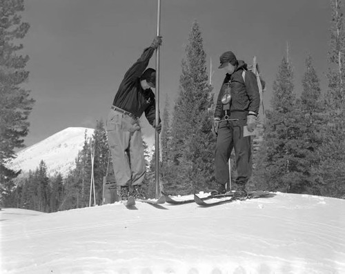 Snow Surveys