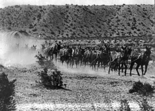 Mule team at work - hauling steel for Jawbone Siphon