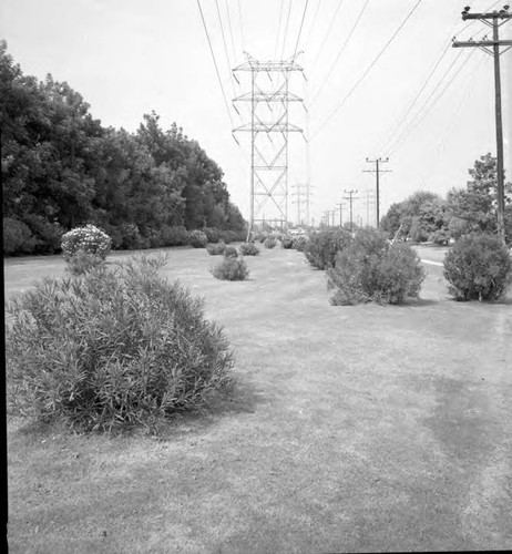 System beautification - transmission line