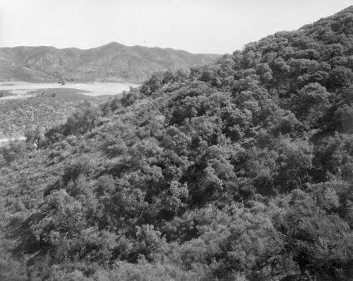 Bouquet Canyon Reservoir