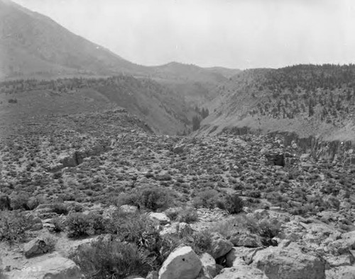 Owens Valley Scenic's