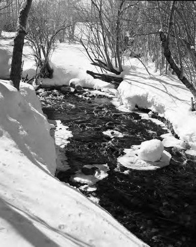 McGee Creek in winter