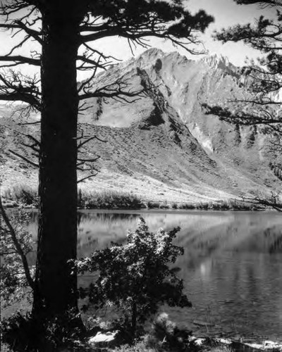 Owens Valley Scenic's