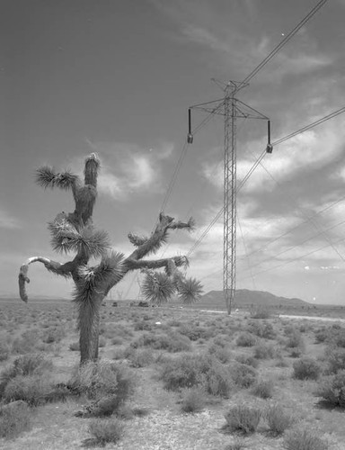 Pacific Intertie line crosses the Mojave Desert