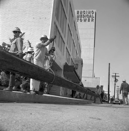 Pole removed at Ventrua Blvd will be trucked to pole yard