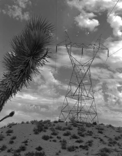 Transmission lines crossing the desert