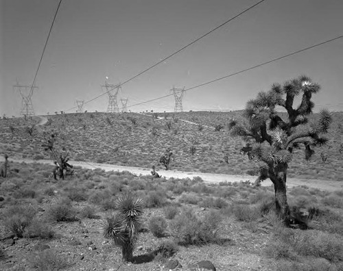 Boulder transmission line crossing Mojave Desert