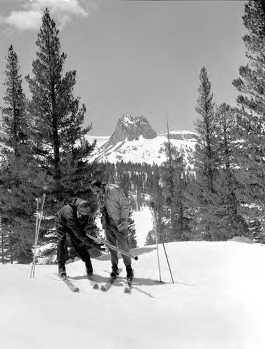 Snow Surveys