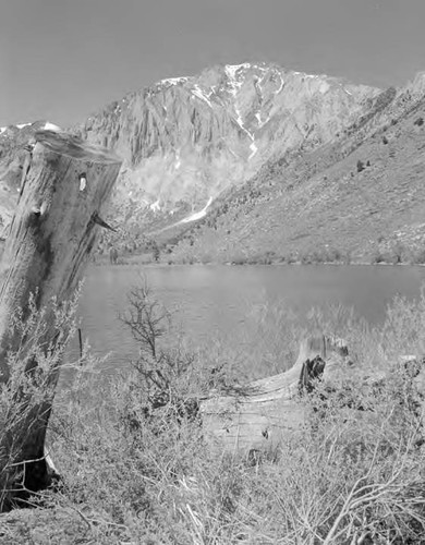 Owens Valley Scenics