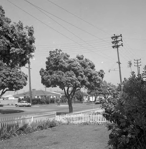 Overhead system beautification program