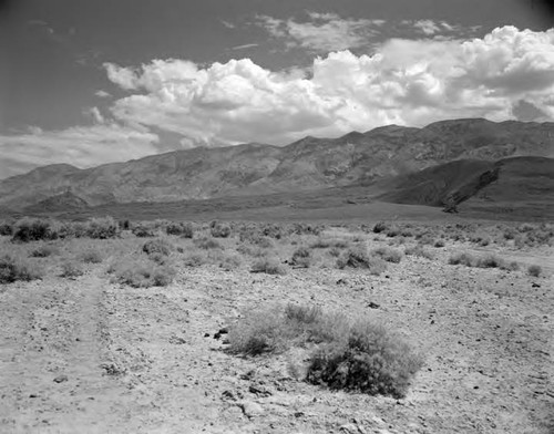 Summer Scenics - Owens Valley