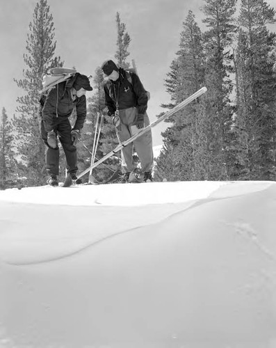 Snow Surveys