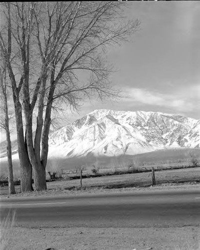 Owens Valley Scenics