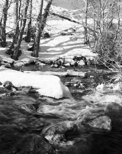 McGee Creek in winter