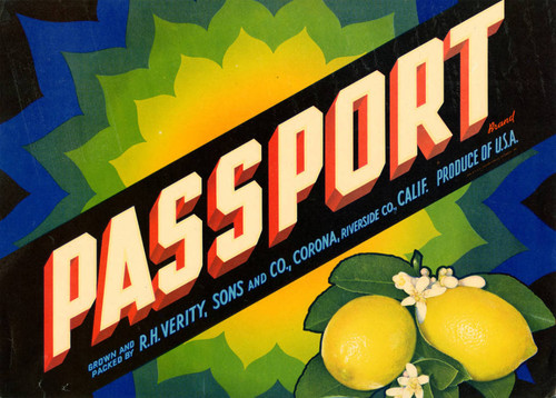 Passport