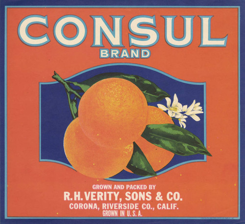 Consul