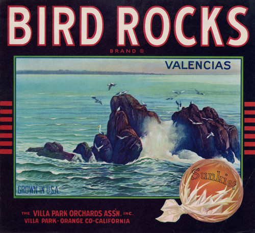 Bird Rocks