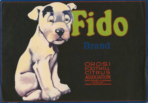 Fido