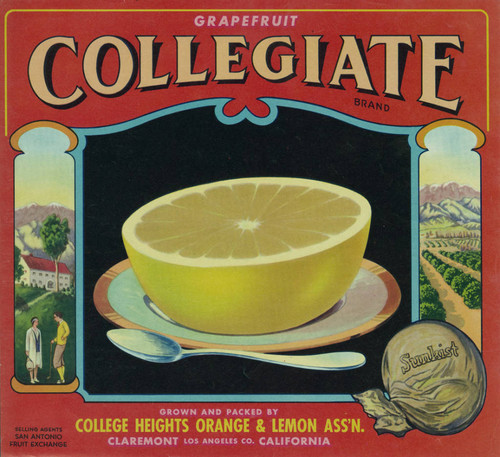 Collegiate